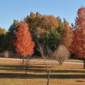 Meet your Posher, Bev